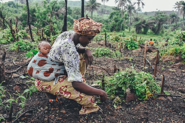 African woman in field with baby on her back