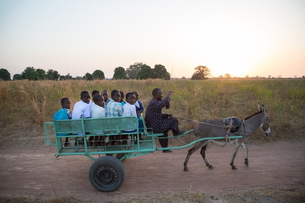 Children on a donkey cart 