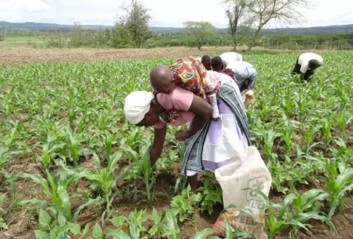 A women is farming with her baby